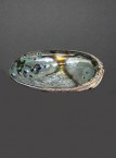 albalone-shell