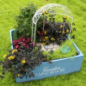 Fairy Garden Kit Image 0